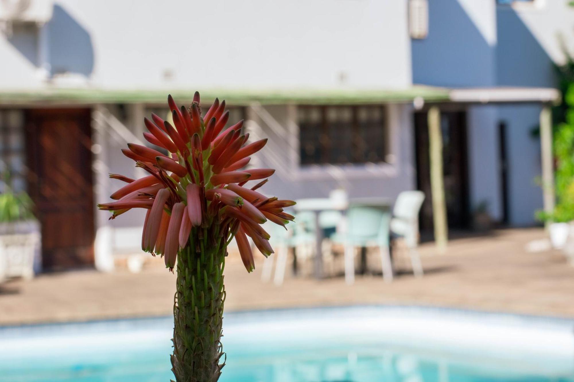 African Sands B&B Amanzimtoti Dış mekan fotoğraf